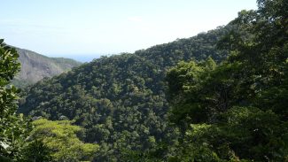 Propostas para o Plano Clima serão debatidas nos biomas brasileiros