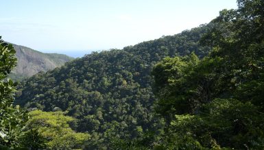 Imagem referente a Propostas para o Plano Clima serão debatidas nos biomas brasileiros