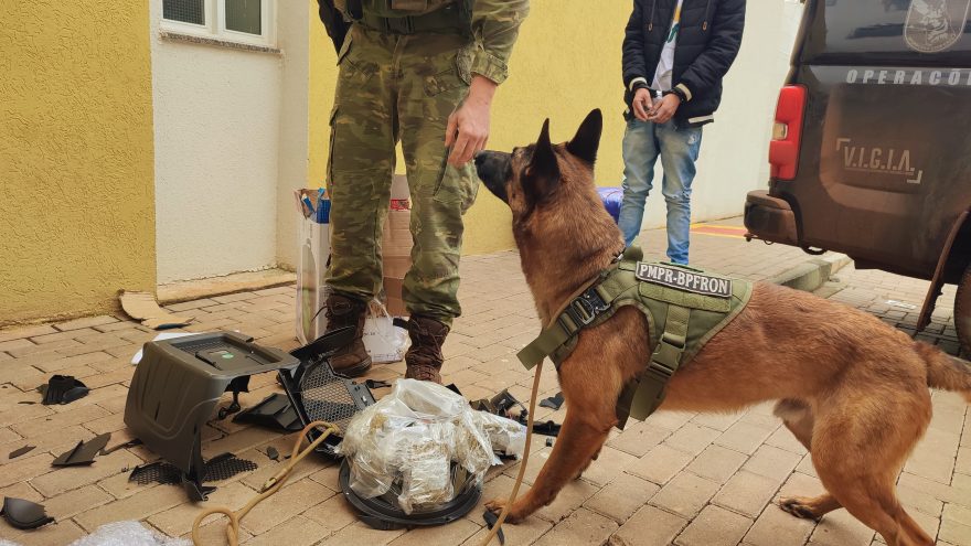Cão Ollie do BPFron encontra capulho e haxixe em caixa de som
