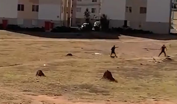 DF: Adolescente atira contra próprio pai para defender mãe de agressões