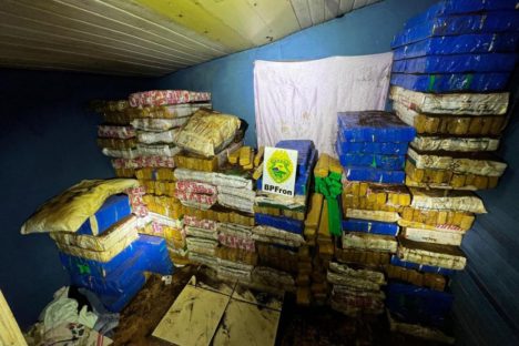 Em duas ações, PMPR apreende 4,1 toneladas de substância semelhante à maconha