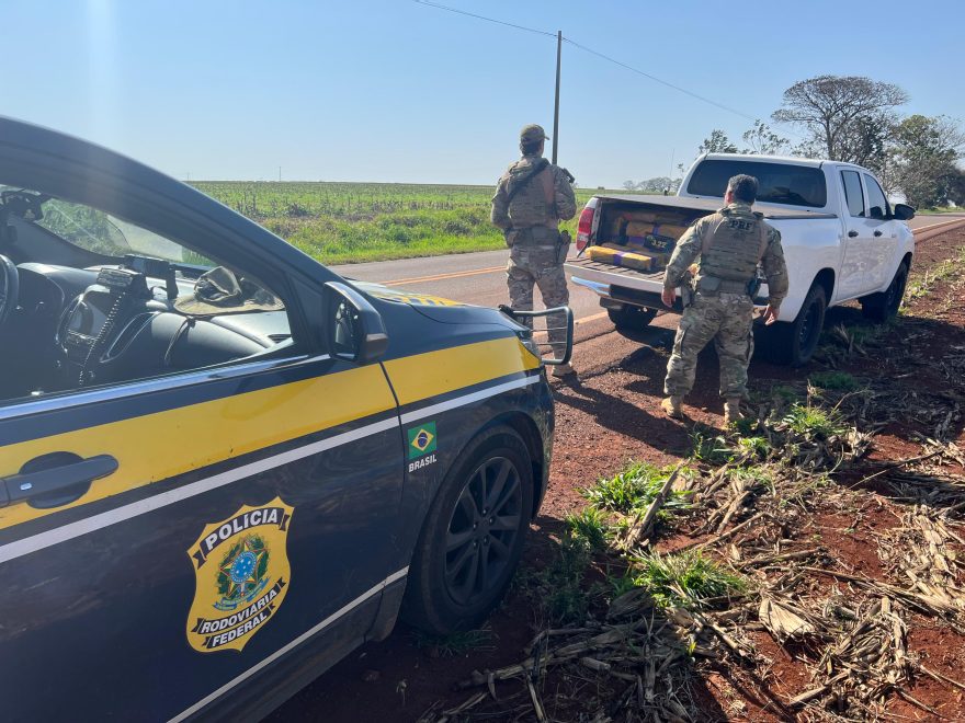 Cascavelense é preso com mais de 700 quilos de maconha em Bandeirante
