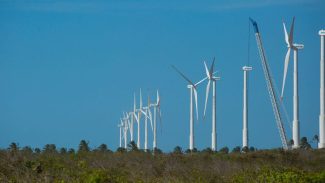 Nordeste tem segundo recorde consecutivo de geração de energia eólica