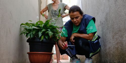 Imagem referente a Brasil se aproxima de 5 mil mortes por dengue em 2024