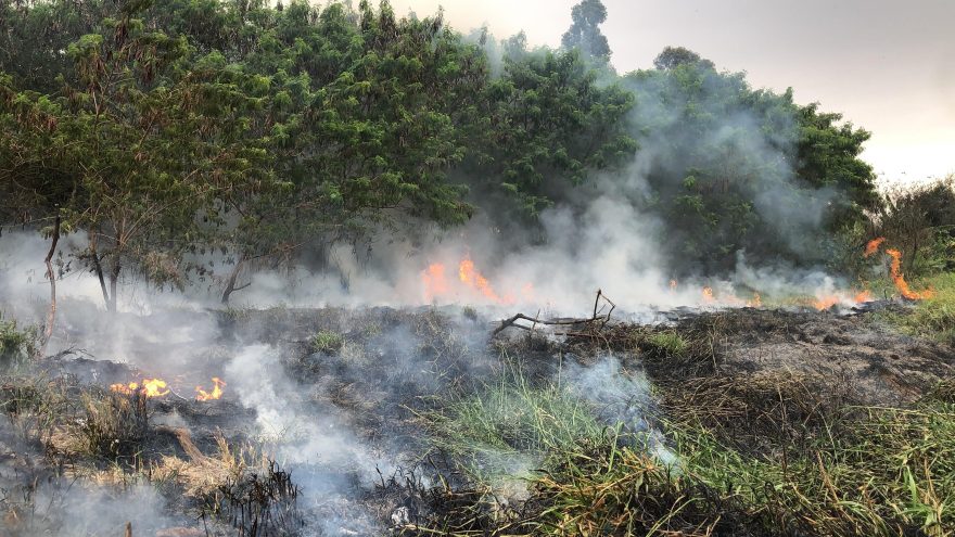 Incêndio ambiental é registrado na divisa dos bairros Canadá e Claudete