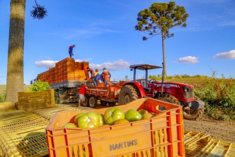 Imagem referente a Preços de alimentos e bebidas tiveram queda de 1,29% em julho no Paraná