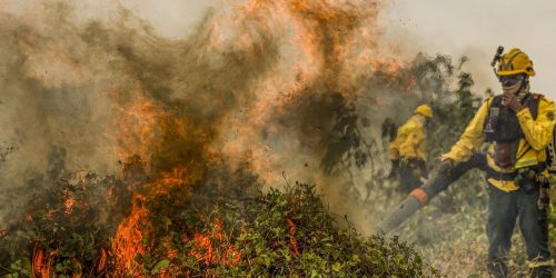 Imagem referente a Fogo já consumiu 1,3 milhão de hectares e volta a aumentar no Pantanal