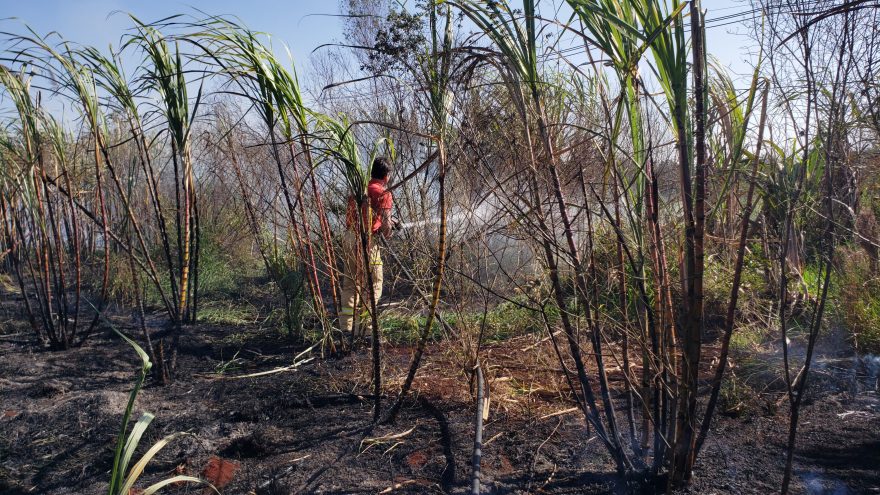 Incêndio nas margens da Rodovia BR-369 em Cascavel mobiliza Corpo de Bombeiros