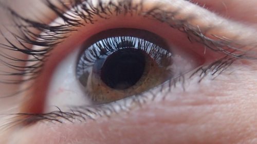 Oftalmologia: Estima-se que 1,7 milhões de brasileiros sofrem com o glaucoma