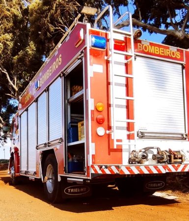 Imagem referente a Preso em árvore, idoso é socorrido pelos Bombeiros na BR-369 em Cascavel