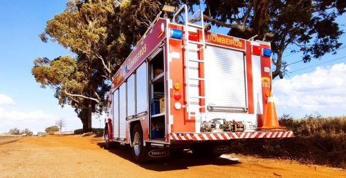 Imagem referente a Preso em árvore, idoso é socorrido pelos Bombeiros na BR-369 em Cascavel