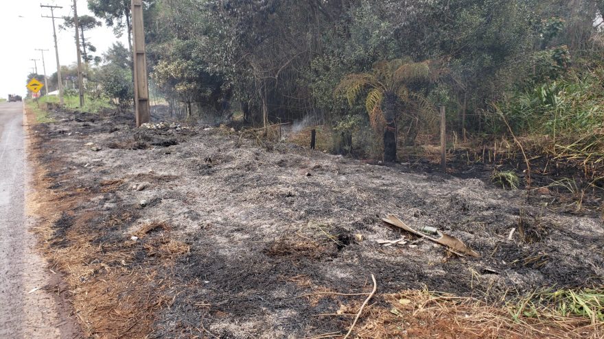 Bombeiros são acionados após registro de incêndio nas margens da BR-277