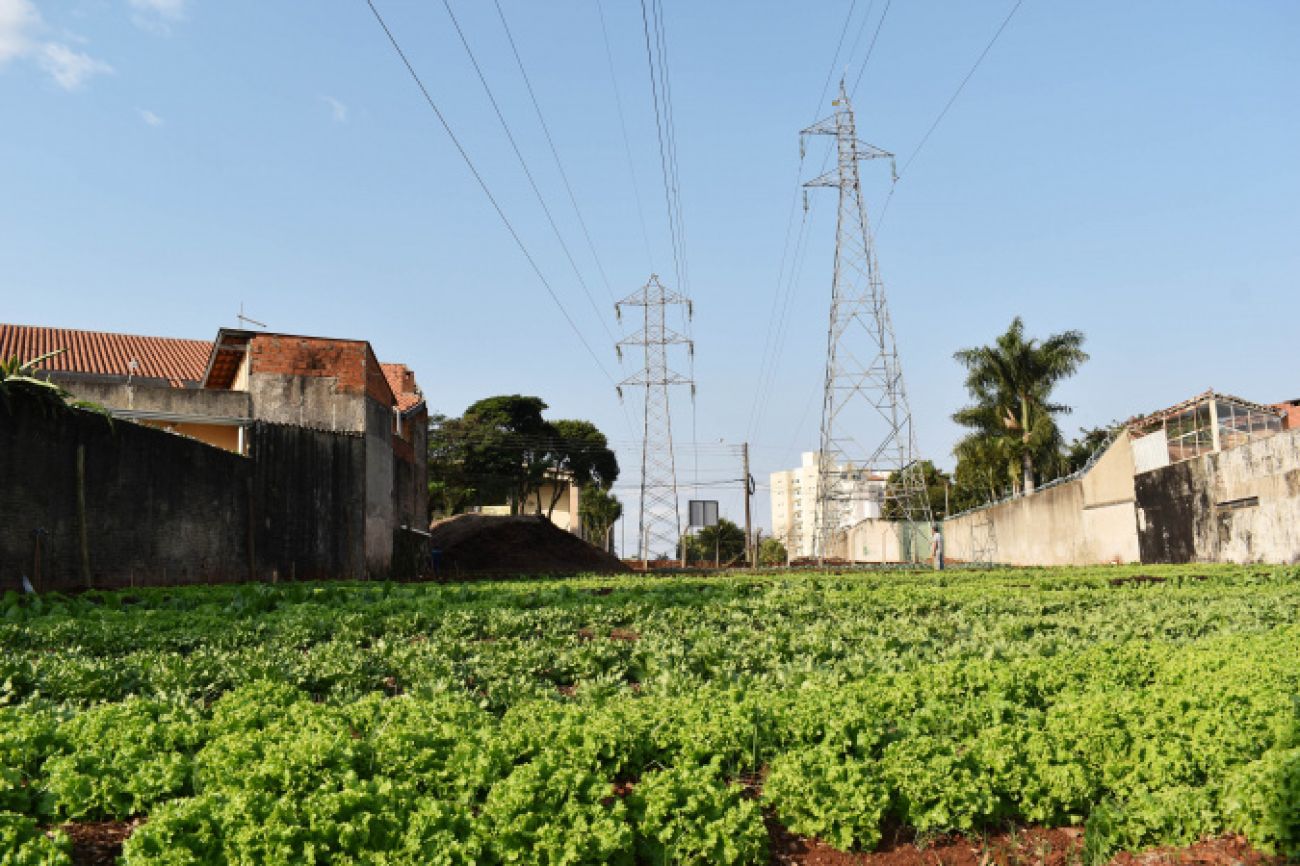 Programa da Copel, Cultivar Energia inaugura segunda horta comunitária em Londrina