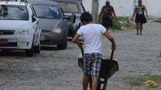 Auditores identificam 301 menores realizando trabalho infantil ilegal