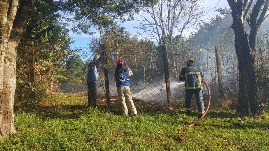 Bombeiros combatem incêndio em vegetação dentro do CEEP