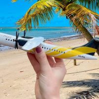 Imagem referente a Voepass alega “impacto imensurável” após suspensão de voos pela Anac