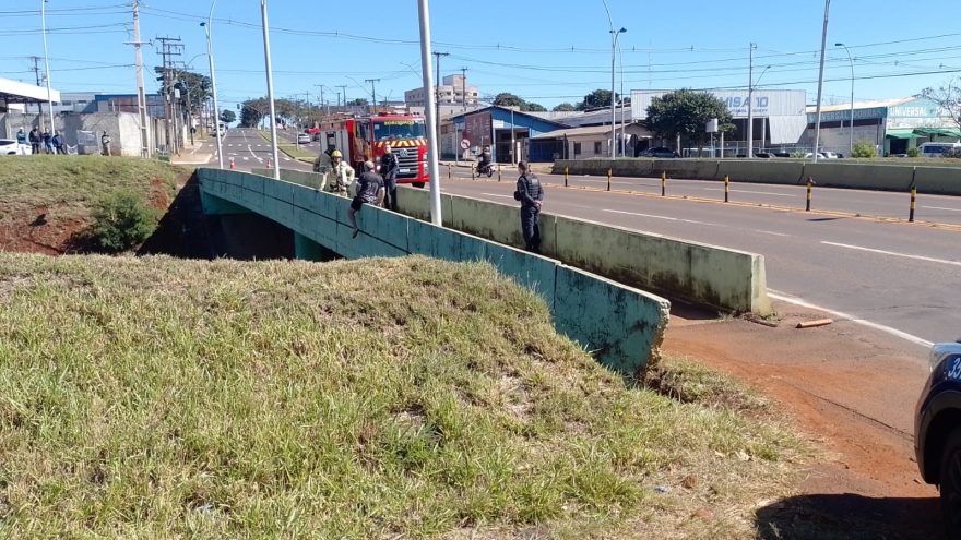 GM e Bombeiros resgatam homem que ameaçava se jogar do viaduto da Rocha Pombo