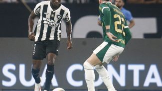 Botafogo recebe Palmeiras no primeiro jogo das oitavas da Libertadores