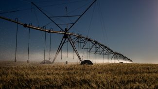 Projeto que permite irrigação em área de proteção recebe críticas