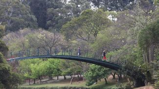 Hoje é Dia: Ibirapuera, Getúlio e Leminski são destaques da semana