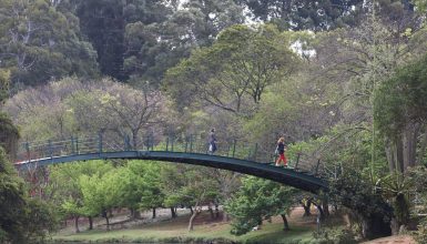 Imagem referente a Hoje é Dia: Ibirapuera, Getúlio e Leminski são destaques da semana