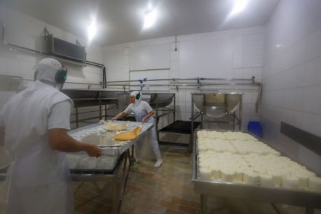 Adapar promove 1º encontro de médicos veterinários dos serviços de inspeção municipais