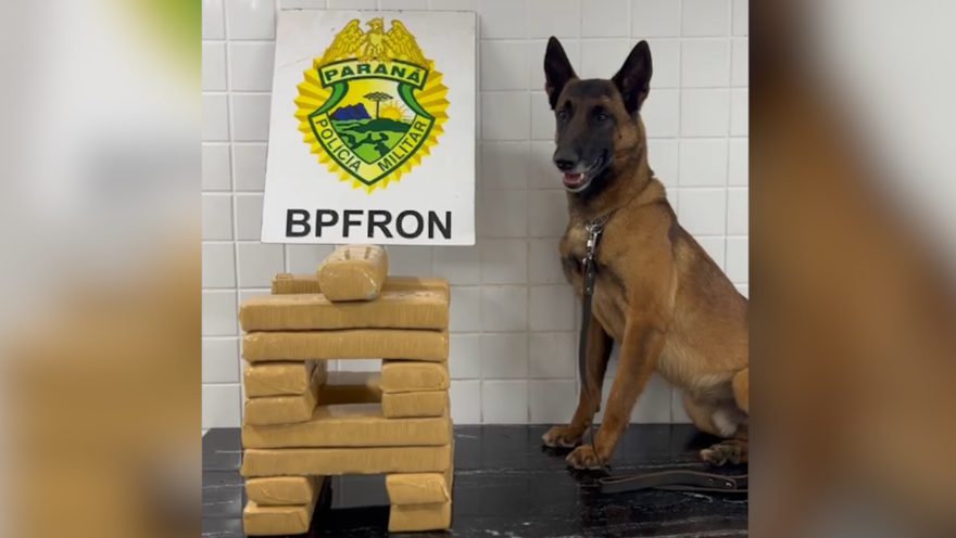 BPFron apreende 17 tabletes de maconha em ônibus interestadual