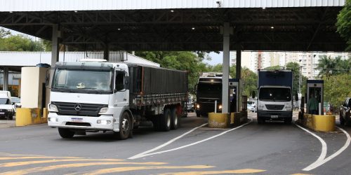 Imagem referente a Governo exclui Ceagesp e CeasaMinas do programa de privatização