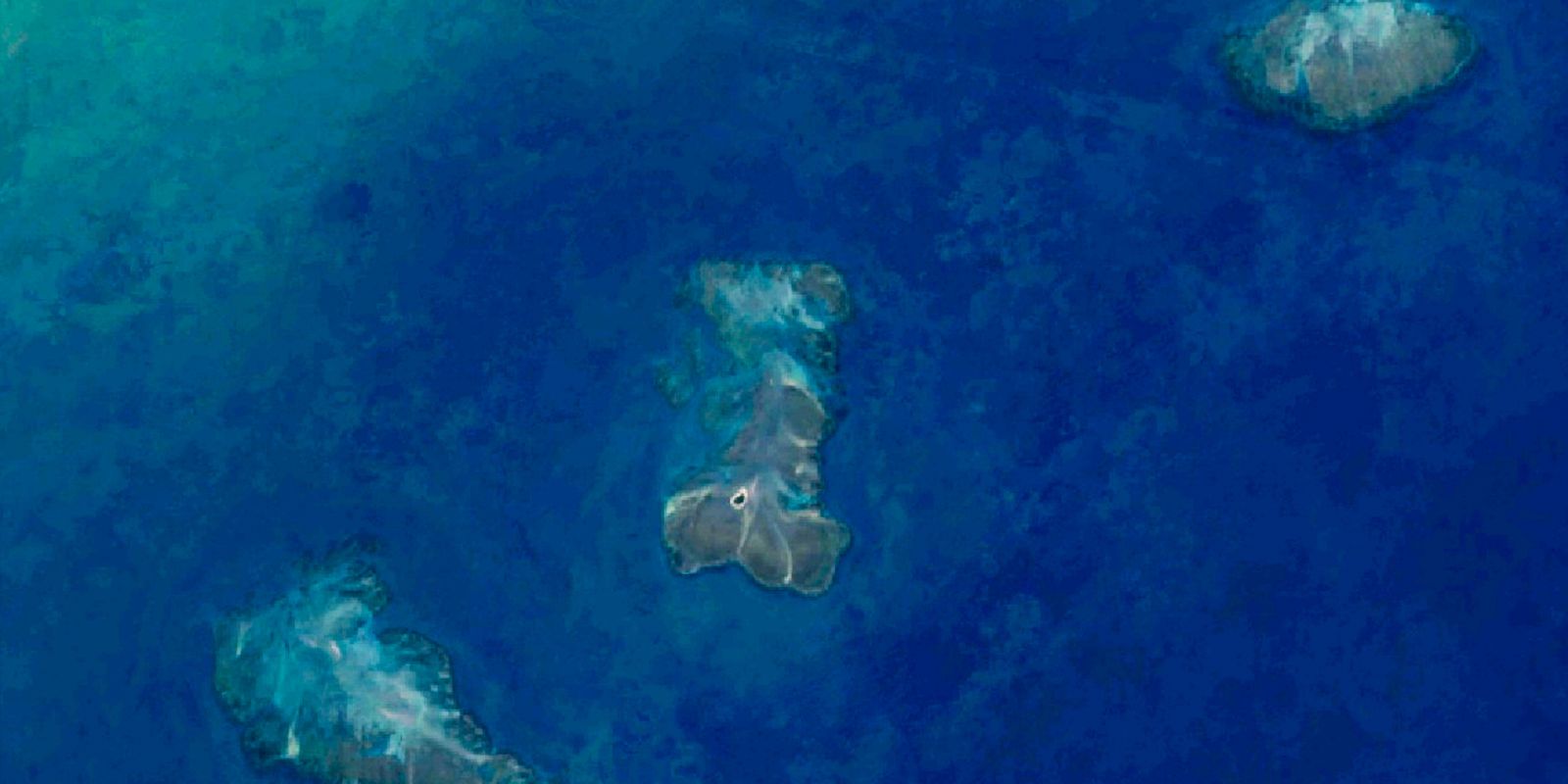 Imagem referente a Pesquisa aponta 20,4 mil hectares de recifes de coral na costa do país