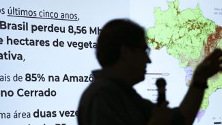 Brasil já perdeu 33% das áreas naturais de seu território