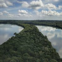 Imagem referente a Paraná é o Estado mais sustentável do Brasil, aponta Ranking de Competitividade