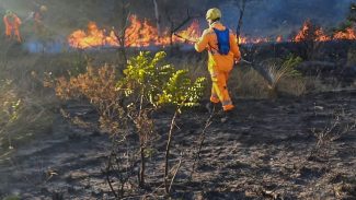 Incêndios atingem milhares de hectares em parques de Minas Gerais