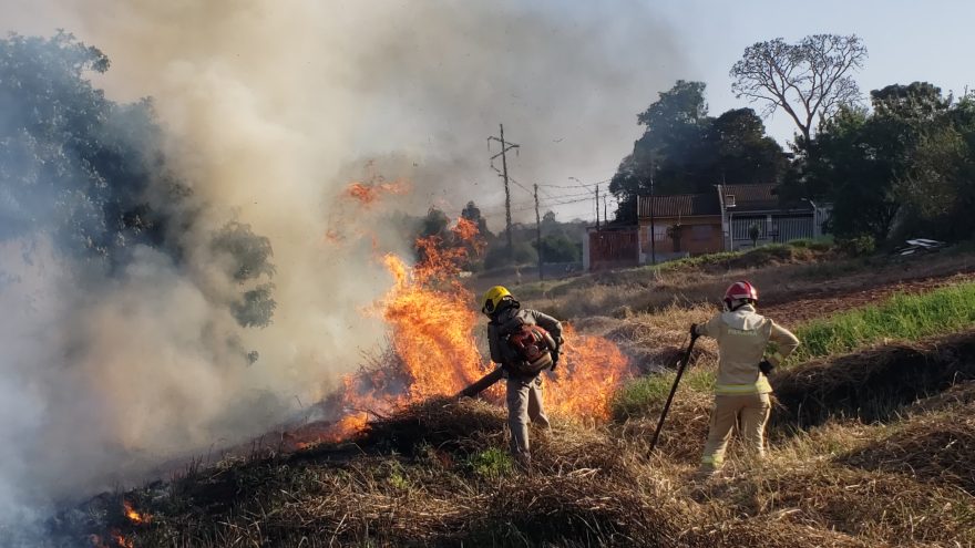 Corpo de Bombeiros combate incêndio em vegetação no Tarumã
