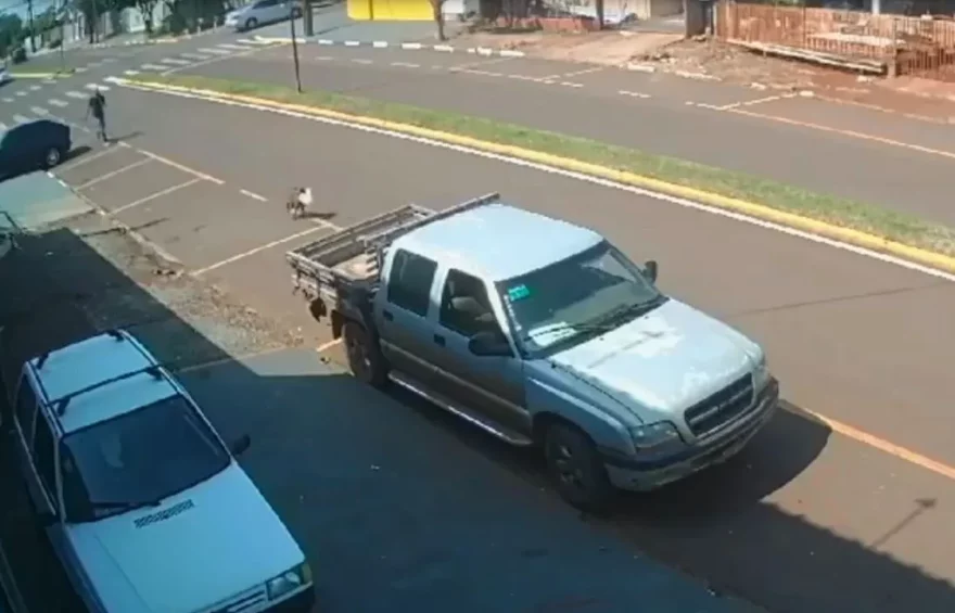 Vídeo mostra pedreiro correndo atrás de cachorrinha que “furtou” sua marmita