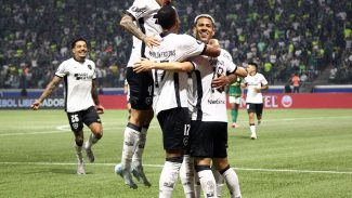 Botafogo segura empate com Palmeiras e avança na Copa Libertadores