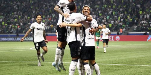 Imagem referente a Botafogo segura empate com Palmeiras e avança na Copa Libertadores