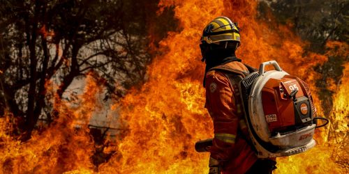 Imagem referente a Bombeiros do DF apagam incêndio em área de nascente do Lago Paranoá