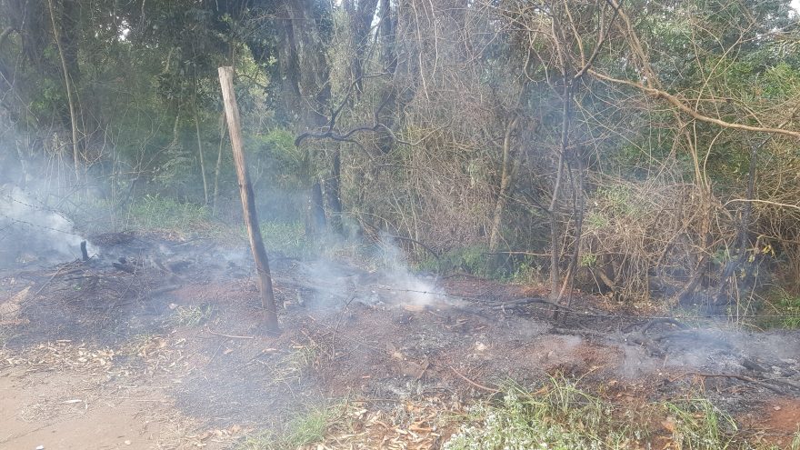 Incêndio atinge área de vegetação no Cataratas