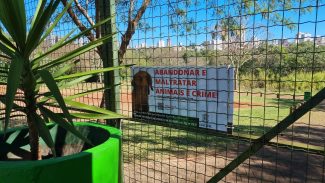 'Dia Mundial do Cachorro' é marcado por ataque violento em Cascavel