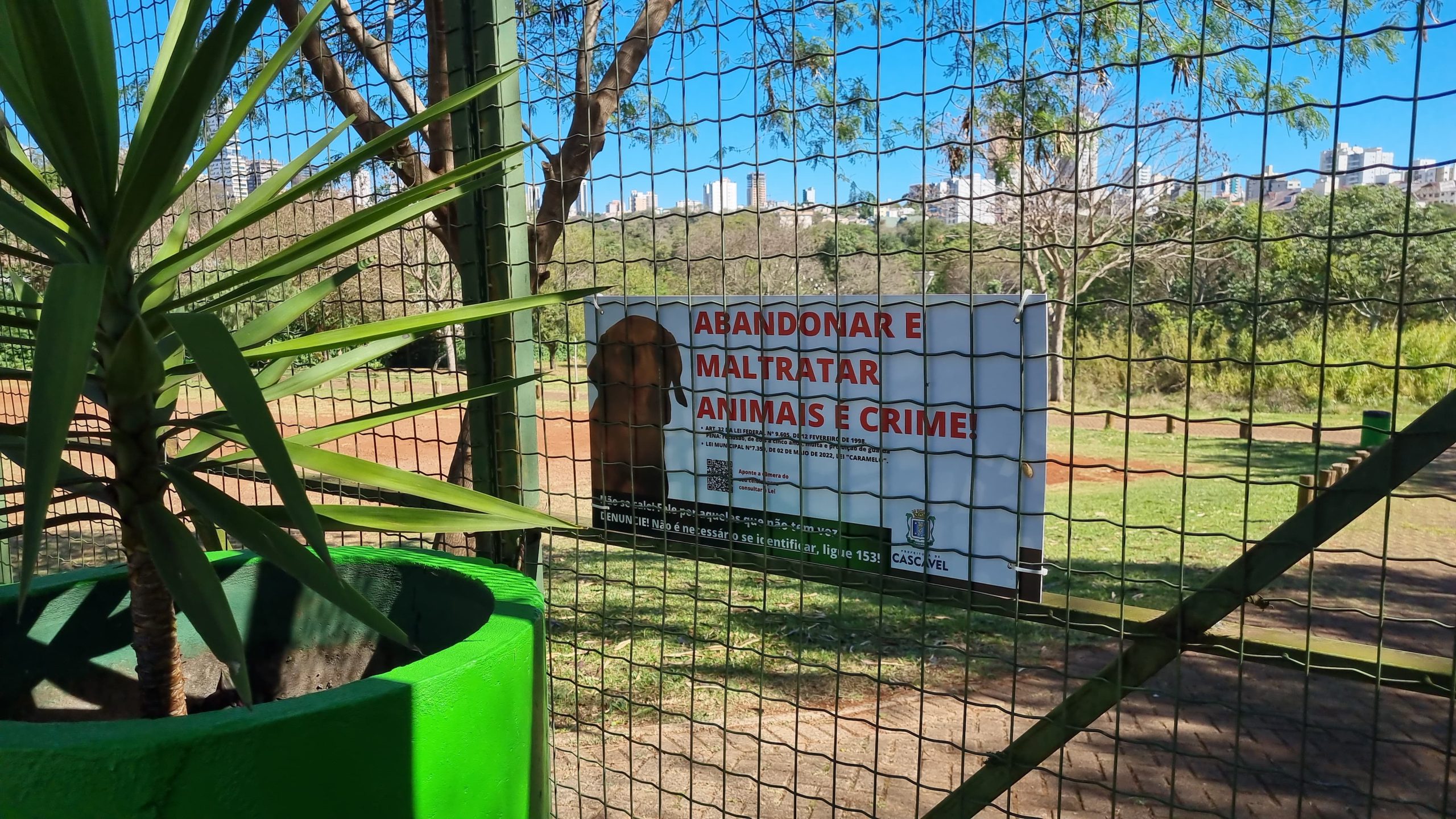 'Dia Mundial do Cachorro' é marcado por ataque violento em Cascavel Imagem referente a 'Dia Mundial do Cachorro' é marcado por ataque violento em Cascavel