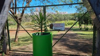 Tutor dos animais que atacaram no Parque Vitória se apresenta à polícia