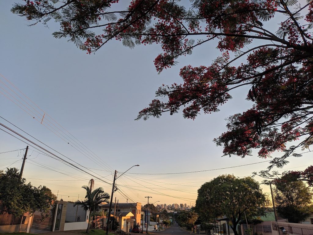 Terça-feira será de sol e máxima de 20°C em Cascavel