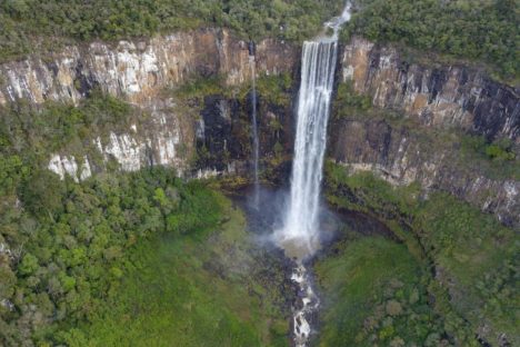 Imagem referente a Unidades de Conservação do Paraná receberam 38 mil visitantes em julho