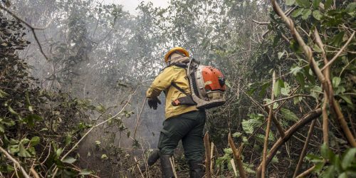 Imagem referente a Dino manda governo ampliar combate ao fogo na Amazônia e no Pantanal