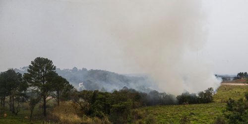 Imagem referente a Polícia prende quinto suspeito de incêndios criminosos em SP