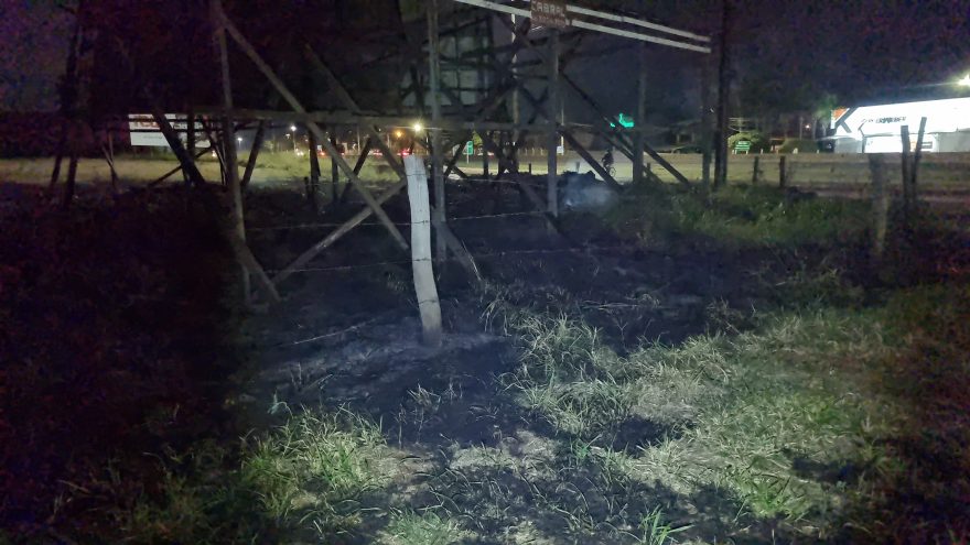 Bombeiros controlam incêndio em vegetação no Santos Dumont