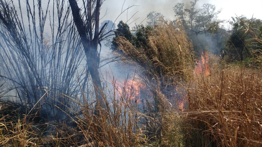 Bombeiros combatem incêndio em vegetação no bairro Santa Felicidade