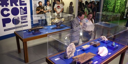 Imagem referente a Em reconstrução, Museu Nacional abre espaço para receber escolas