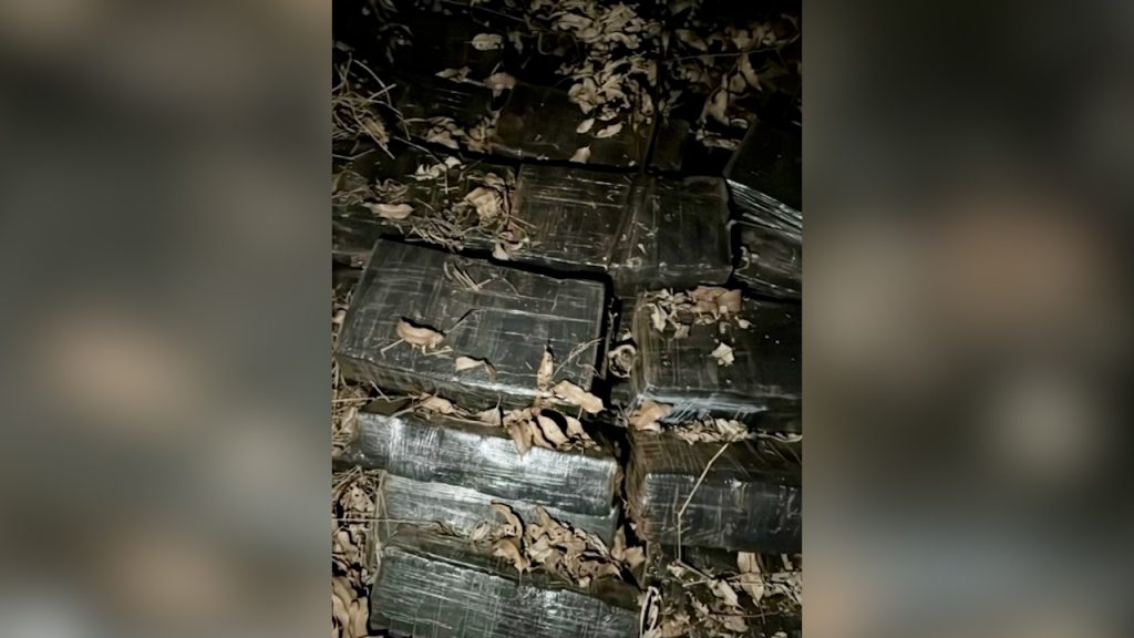 Polícia Federal e BPFron apreendem 573 kg de maconha em Iporã Polícia Federal e BPFron apreendem 573 kg de maconha em Iporã