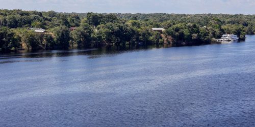 Imagem referente a Hoje é Dia: Amazônia, mulher indígena e independência são destaques